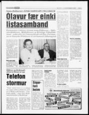 Síða 5