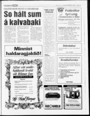 Síða 17