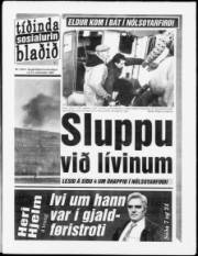 Síða 1