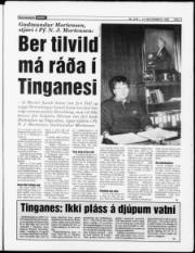 Síða 3