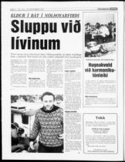 Síða 4