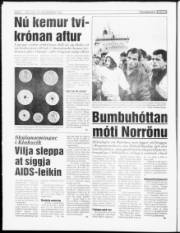Síða 6