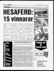 Síða 13