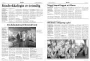 Síða 4