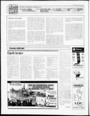 Síða 2