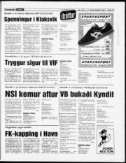 Síða 13