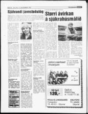 Síða 18