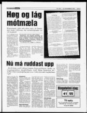 Síða 3