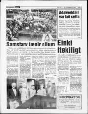 Síða 3