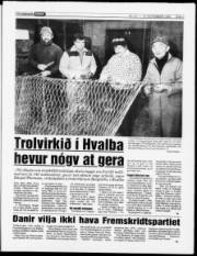 Síða 5
