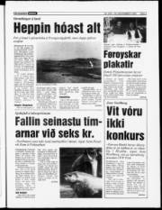 Síða 3