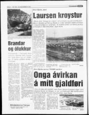 Síða 4