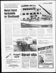 Síða 6