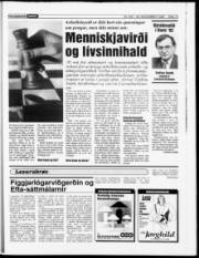 Síða 13