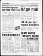 Síða 17