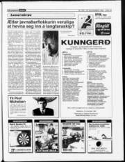 Síða 19