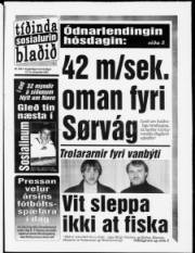 Síða 1
