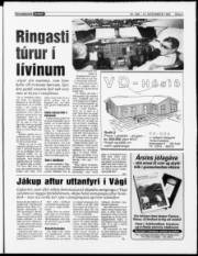 Síða 3