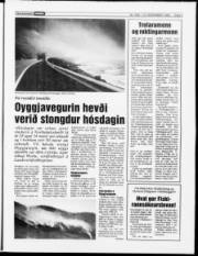 Síða 7