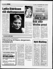 Síða 15