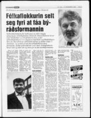 Síða 5