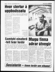 Síða 4