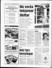 Síða 8
