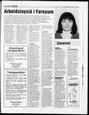 Síða 17
