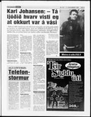 Síða 3