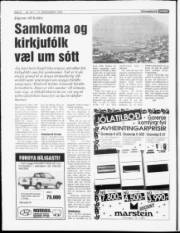 Síða 6