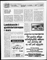Síða 2