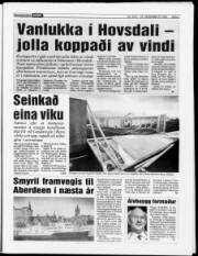 Síða 7