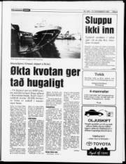 Síða 9