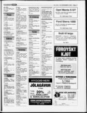 Síða 17