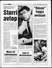 Síða 3