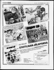 Síða 17