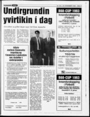 Síða 21