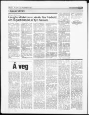 Síða 22