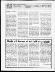 Síða 2