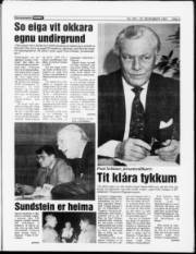 Síða 5