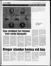 Síða 19