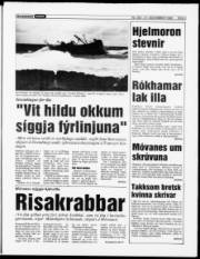 Síða 3