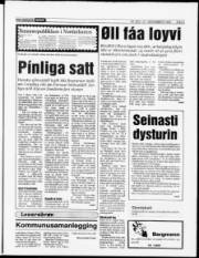 Síða 5