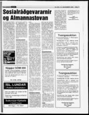 Síða 17