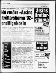 Síða 21