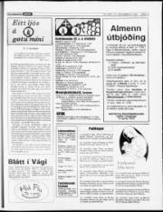 Síða 23