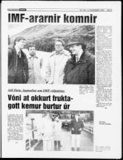 Síða 3
