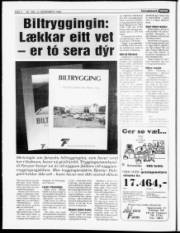 Síða 4