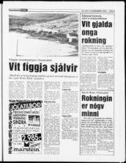 Síða 5