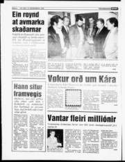 Síða 6